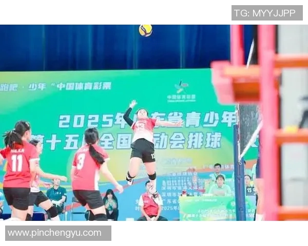 排球盛宴：深入广州排球队的比赛技巧与经验分享