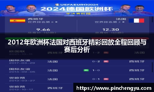 2012年欧洲杯法国对西班牙精彩回放全程回顾与赛后分析