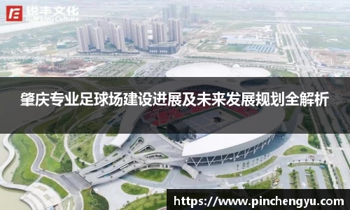 肇庆专业足球场建设进展及未来发展规划全解析